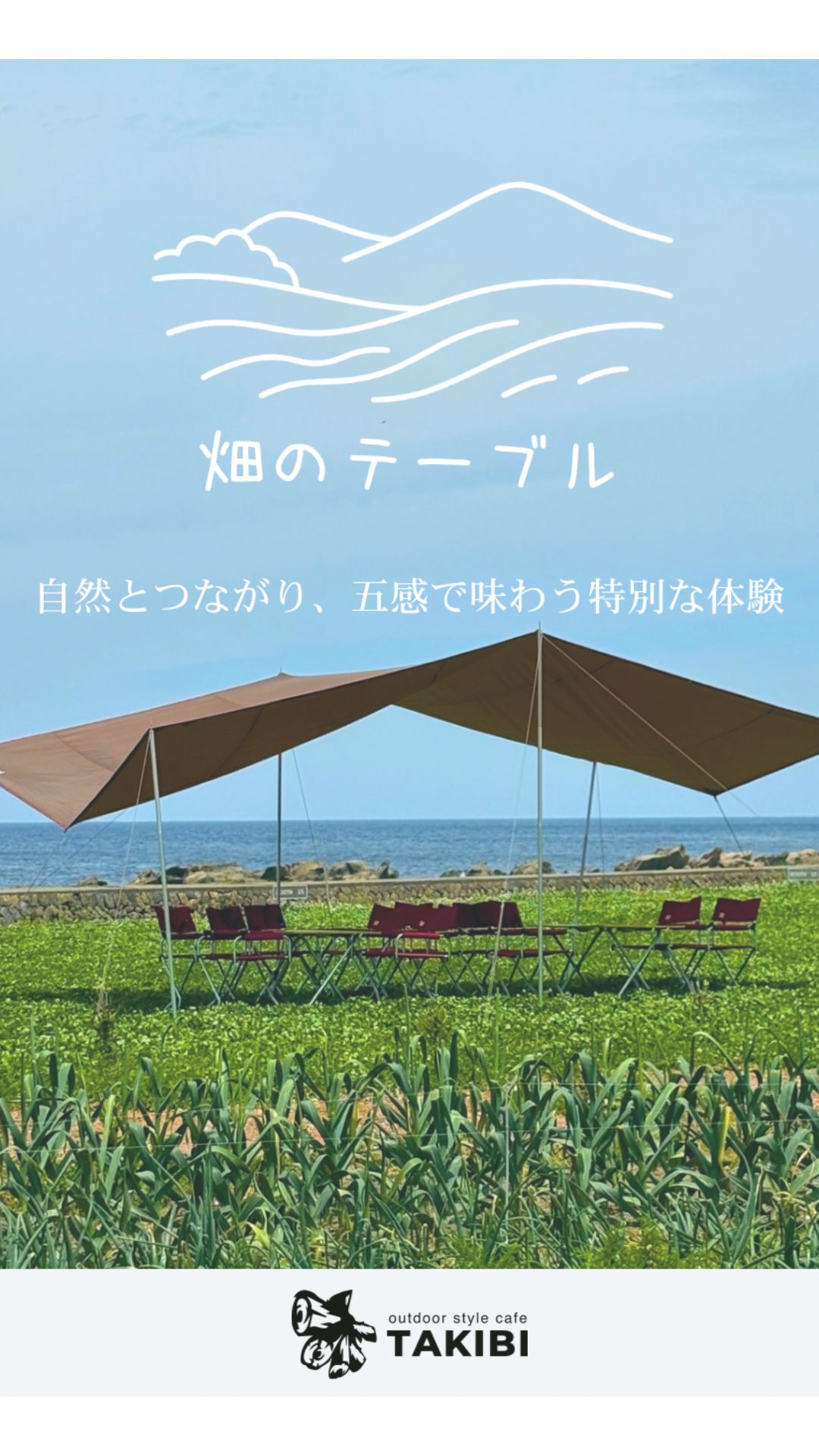畑のテーブル